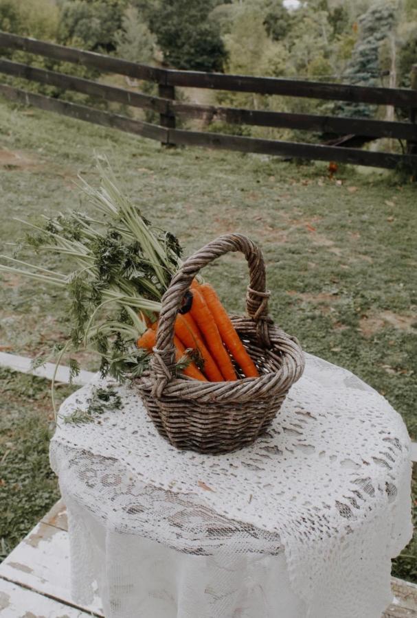 Thistle And Pine Cottage Farmstay Тауранга Экстерьер фото